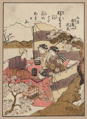 A picture of three women and a man consuming heated sake under a cherry tree in blossom, while surrounded by striped curtains.